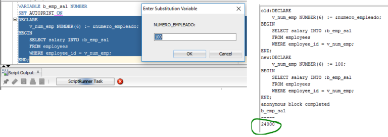 Las Variables de PL/SQL - PL/SQL Mágico